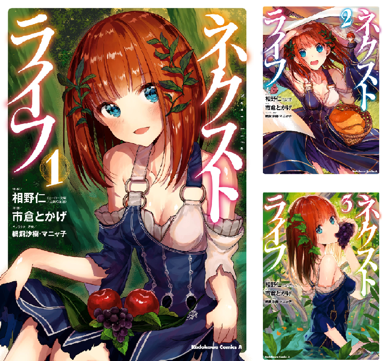 ネクストライフ (全9巻) Kindle版